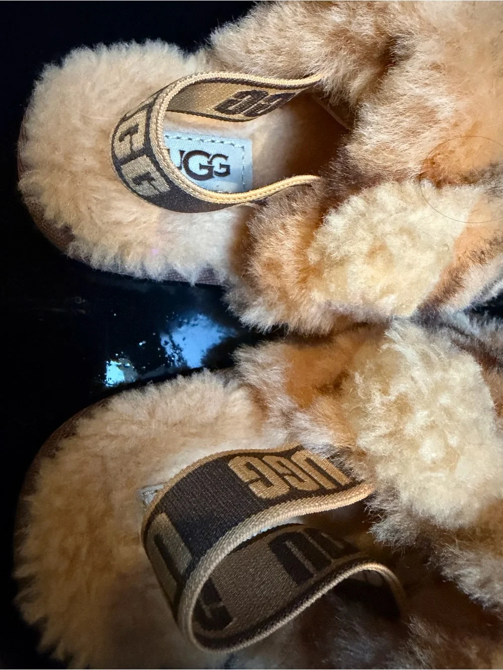 UGG Chestnut Plush Slip-On Slippers